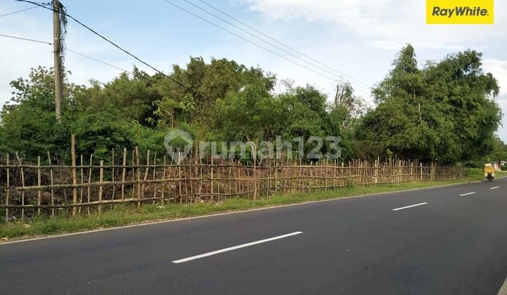 Dijual Kavling SHM Strategis di Raya Telangoh Bangkalan Madura