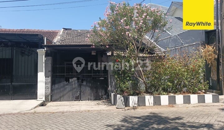 Dijual Rumah di Raya Wiguna Selatan Surabaya Dijual Rumah di Raya Wiguna Selatan Surabaya
