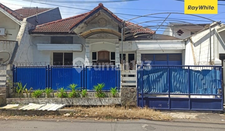 Dijual Rumah Dijalan Dharmahusada Indah Utara Lelang Surabaya