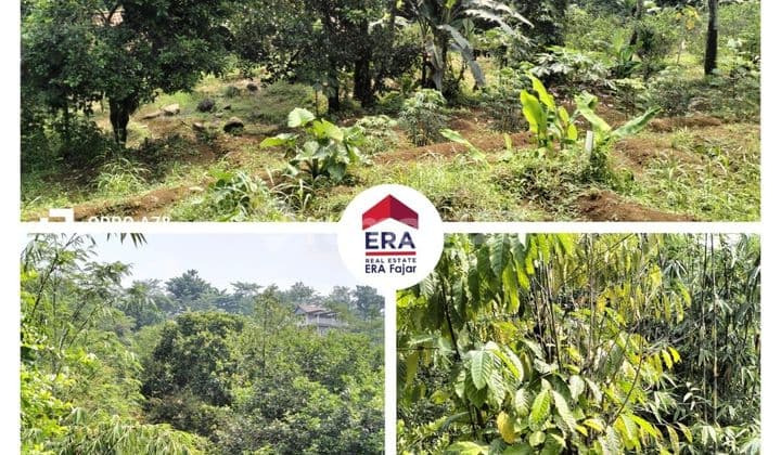 Land Plot For Sale In Ciomas Babakan, Cipayung Road