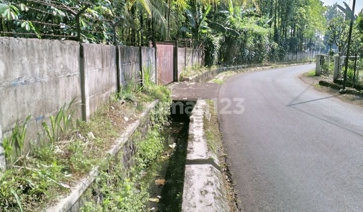 Tanah produktif daerah subur ,sejuk. ,komersil Dijual dekat Campus IPB Dramaga Bogor