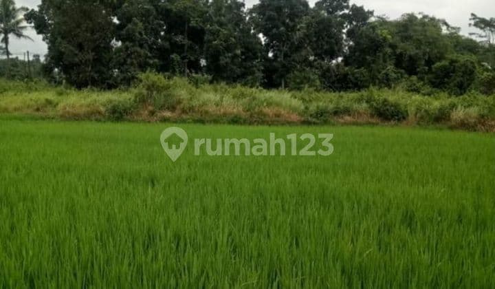 DI JUAL TANAH CIPINANG Rumpin Bogor