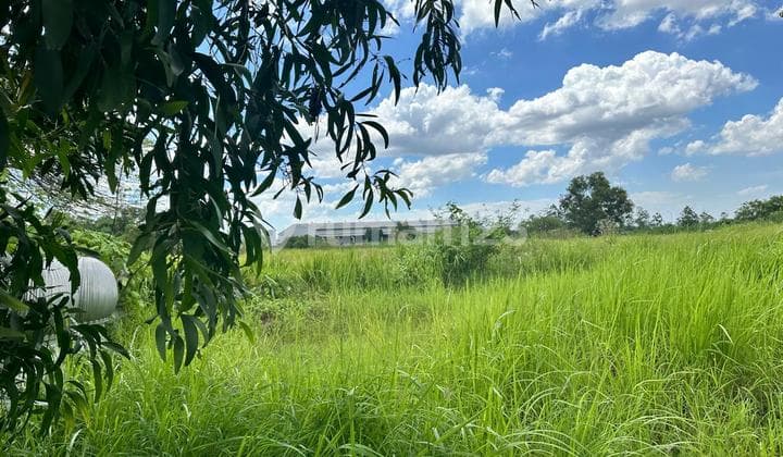 Best Deal! Tanah Kawasan Industri 15,7 Ha - Sudah Ada Infrastruktur Dan Dekat Akses Tol Jababeka, Cikarang Bekasi