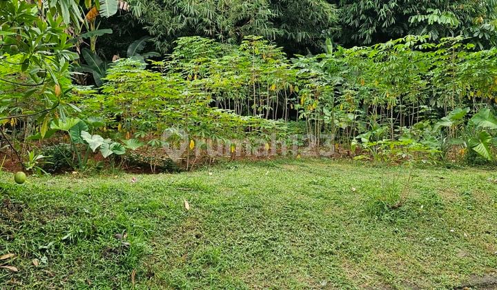 Jual Cepat Kavling Perumahan Bale Tirtawana Bsd Rumpin Bogor