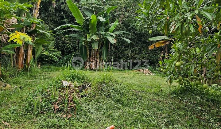 Jual Cepat Kavling Perumahan Bale Tirtawana Bsd Rumpin Bogor
