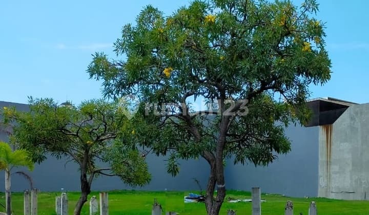 Dijual Cepat Tanah Ekslusif di Pantai Mutiara