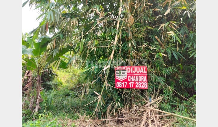 Dijual Tanah 1 Hektar Cocok Bangun Perumahan di Leuwisadeng, Kabupaten Bogor