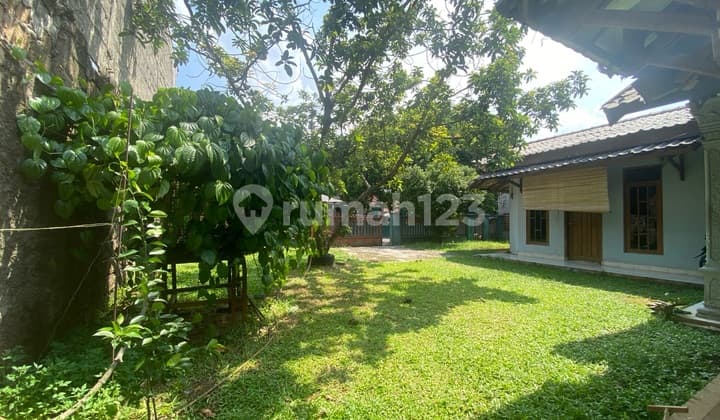 Rumah Dengan Halaman Luas Siap Huni