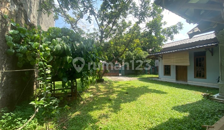 Rumah Dengan Halaman Luas Siap Huni