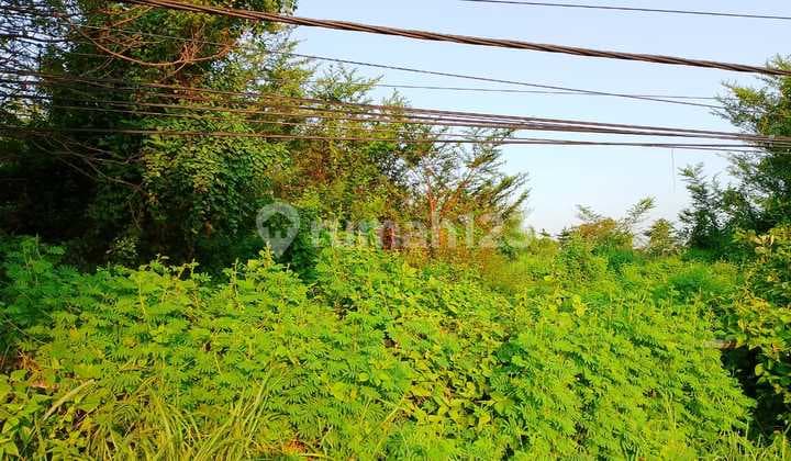 Dijual Tanah Strategis Dan Luas Di Area Jalan Raya Madiun