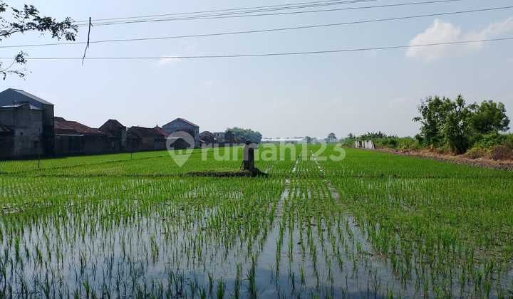 Land for Sale Per Square Meter in Ngawi, East Java