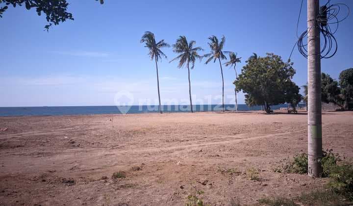 Dijual Tanah Luas Cocok Untuk Usaha Area Kubutambahan Bali