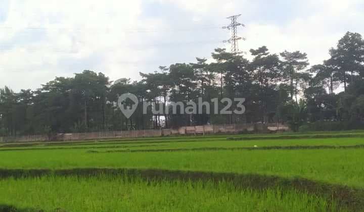 Land for Sale, Spacious, Suitable for Housing in Buah Batu Area, Bandung.