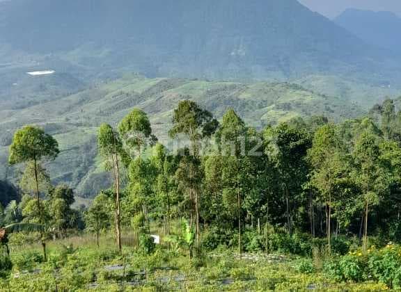 Dijual Tanah Luas Cocok Untuk Perkebunan Area Majalaya Paseh