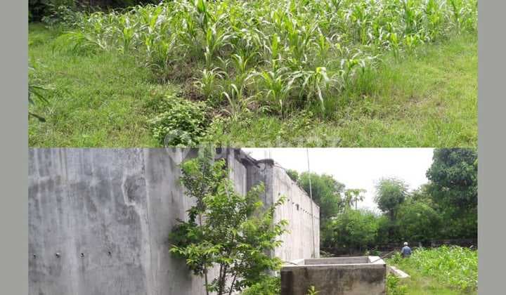 Dijual Tanah Luas Pinggir Jalan Raya Area Sanggalangit Bali