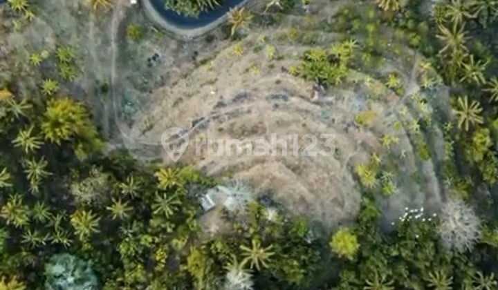 Dijual Tanah 1 Hektar Area Madenan Tejakula Bali