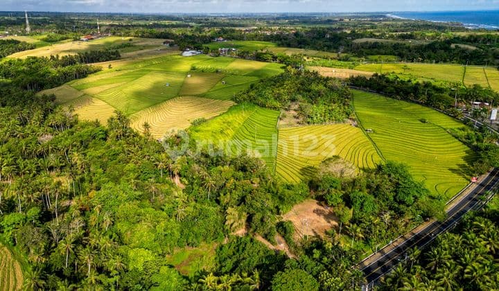 Dijual Tanah Luas Cocok Untuk Usaha Dekat Pantai Area Tabanan
