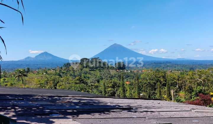 Villa for Sale Cheap Bedugul Tabanan Cool Air Negotiable Price