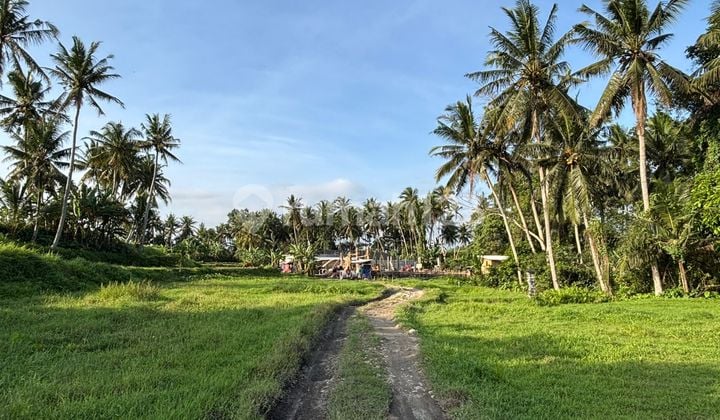 Dijual Tanah Dekat Central Ubud Peliatan Harga Nego
