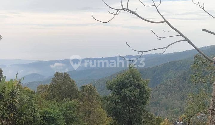 Dijual Tanah Murah Munduk Buleleng Full View Harga Nego