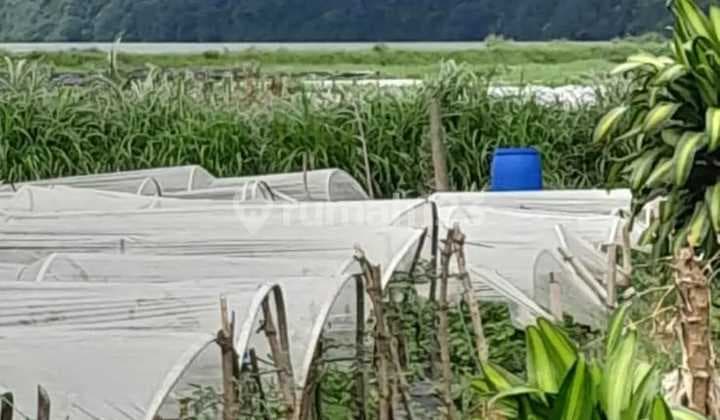 Dijual Tanah Buc View Danau Bedugul Tabanan Harga Nego