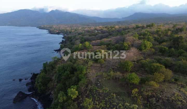 Dijual Tanah Los Tebing Lokasi Kubu Karangasem Bali