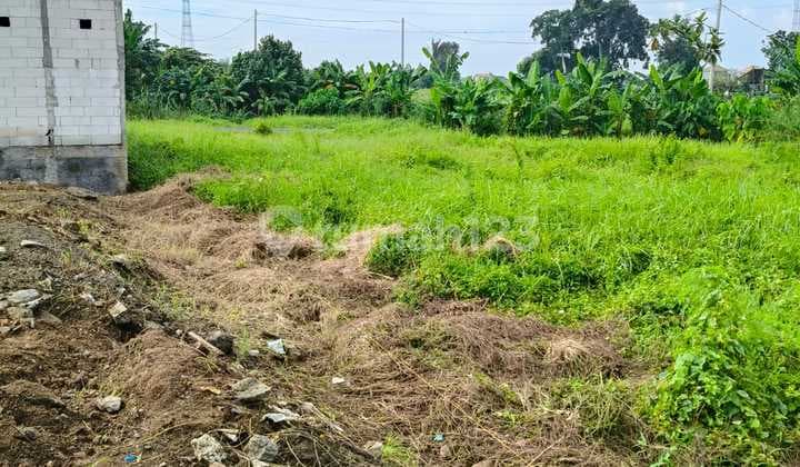 Dijual Tanah Murah Tangeb Dekat Cepaka Munggu Itr Kuning