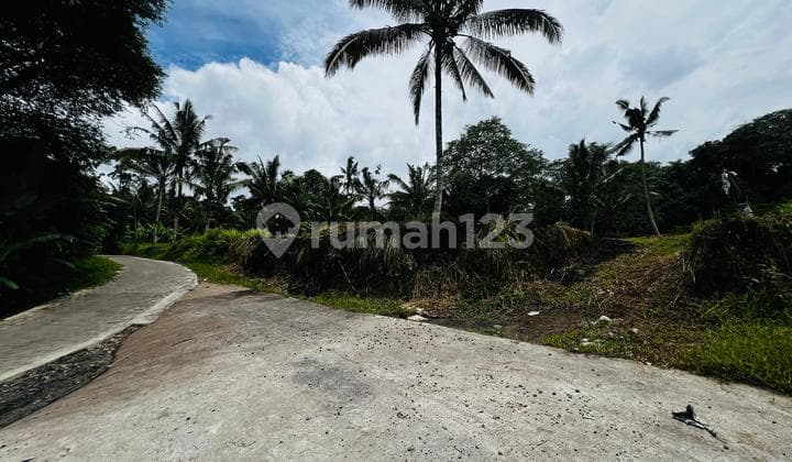 Dijual Tanah Kavling Payangan Dekat Novotel Hotel Harga Nego