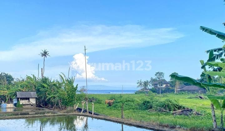 Dijual Tanah 200 Meter Dr Pantai Ketewel Gianyar Harga Nego