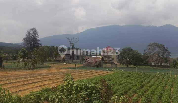 Dijual Tanah Murah Bedugul Bali Dekat Bloom Garden Itr Kuning