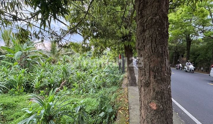 Dijual Tanah Jalan Utama Kemenuh Gianyar Bali Harga Bisa Nego