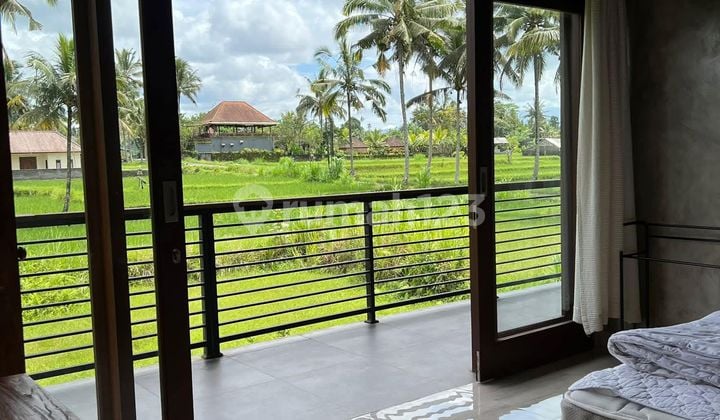 Dijual Vila Murah Tampaksiring Ubud Bali View Sawah Harga Nego