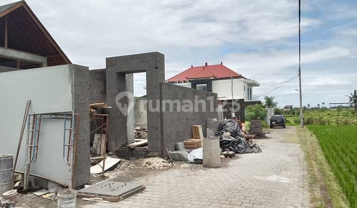 For Sale Premium Beach Land Kedungu Tabanan Near the Beach