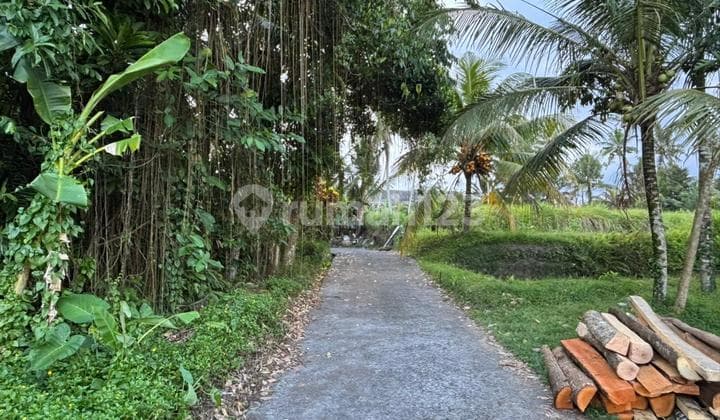 Dijual Tanah Murah Tampaksiring Ubud Gianyar Harga bisa Nego