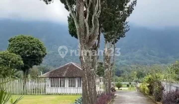 For Sale Cheap Land in Elite Bedugul Area Full View Negotiable Price