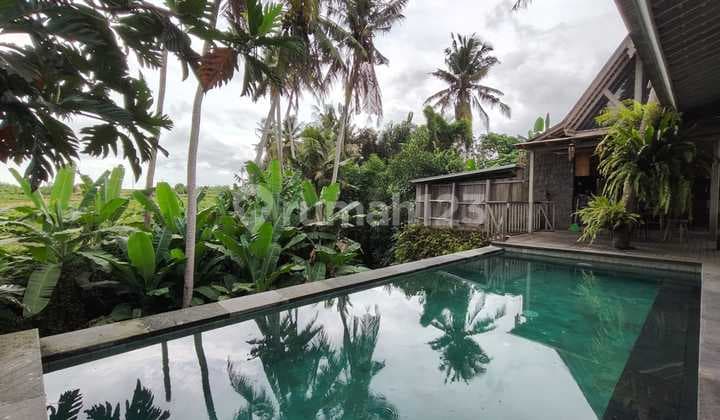 Dijual Villa Murah Sukawati Ubud Bali Harga bisa Nego