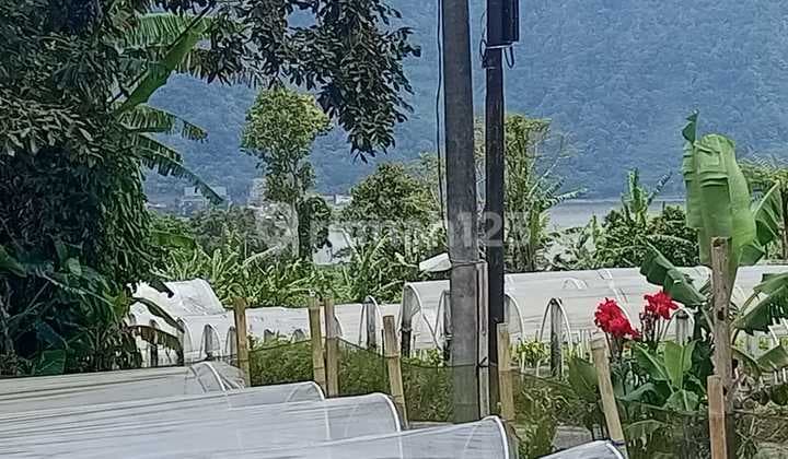 Dijual Tanah Bedugul View Danau Beratan Harga Nego