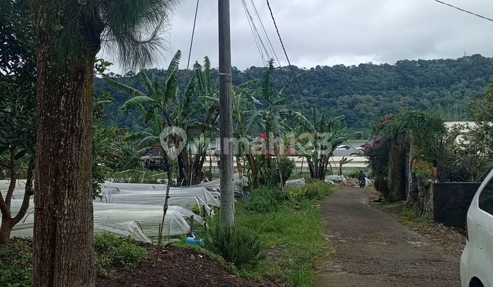 Dijual Tanah Plot Kecil Bedugul Bali Harga bisa Nego