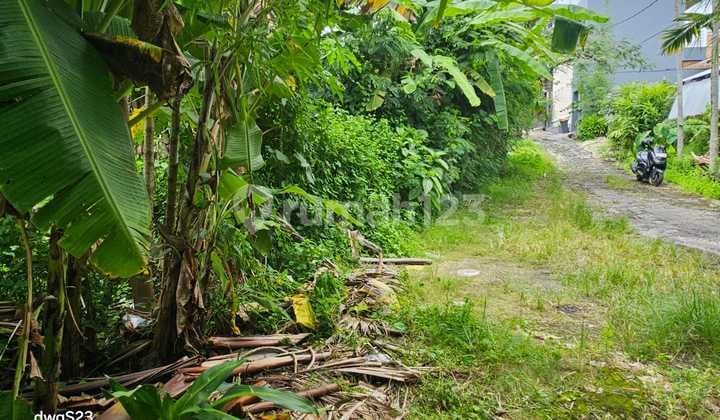 Dijual Tanah Premium Umalas Kerobokan Bali Harga Nego