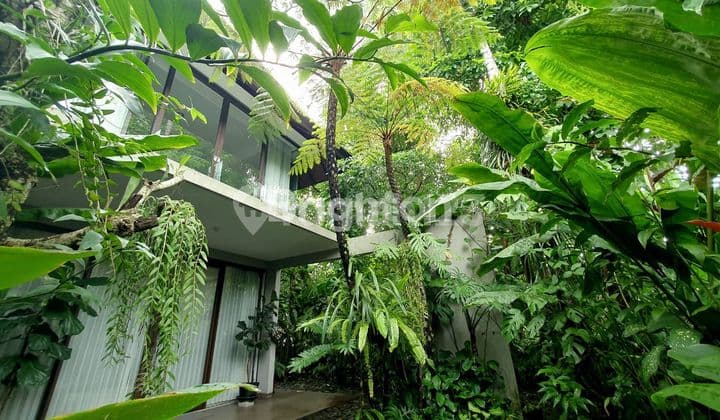 Luxury Fully Furnished House in Palagan, Sariharjo, Monjali, Ngaglik, Sleman, Special Region of Yogyakarta
