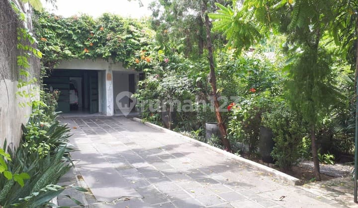 Rumah Asri dan Nyaman Siap Huni Kemang Jakarta Selatan