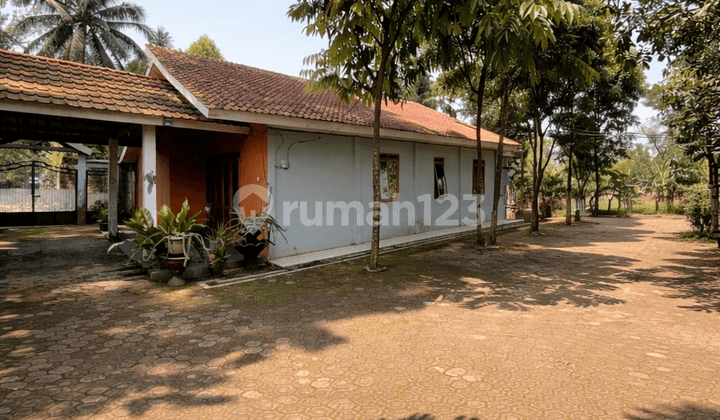 Tanah Luas Bonus Rumah di Bogor