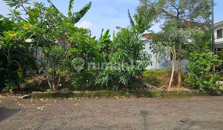 Land Plots in Elite Complexes Like This Are Becoming Increasingly Rare.