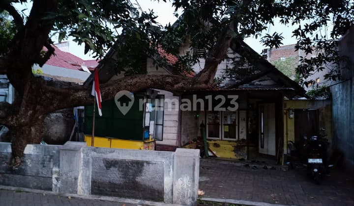 Rumah Apa Adanya Pusponjolo Semarang Lokasi Legendaris Super Strategis