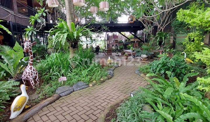Jual Resto dan Cafe view Sawah masih berjalan berikut peralatan dan operasionalnya di Cibarusah Cikarang
