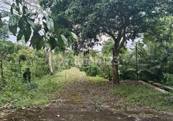 Land 24,600 Square Meters Suitable For Homestay/Glamping, Wonokerto, Turi
