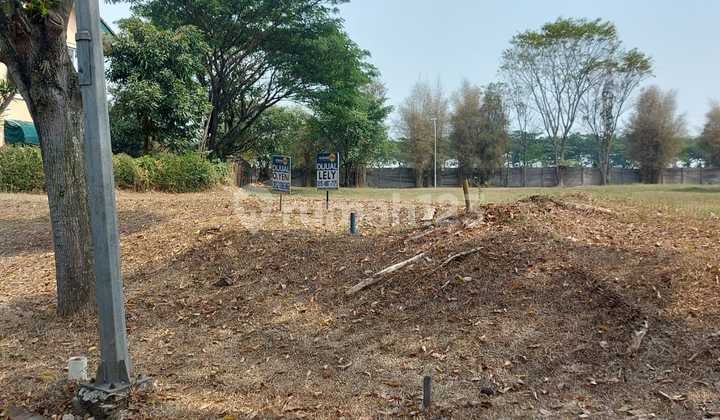 Kavling Murah 600m2 di Suvarna Sutera Padi Utama Tangerang Y154