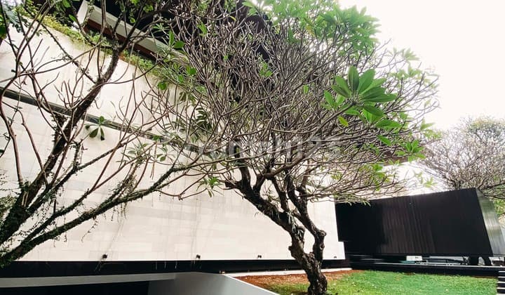 Dijual Rumah Vibes Villa Bali Di Pondok Indah, Jakarta Selatan