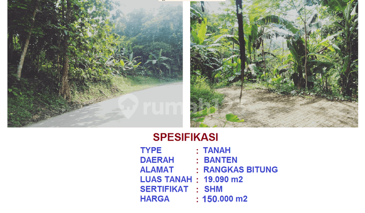 di jual Tanah luas 2 hektar harga murah Jl Kaduagung Rangkas Bitung Lebak Banten