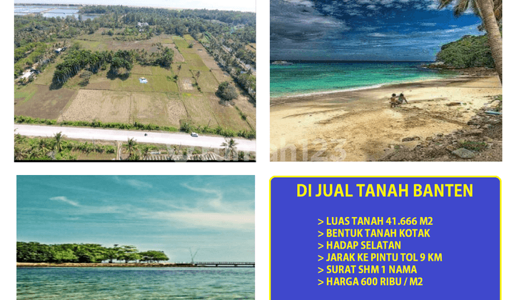 di jual Tanah luas 4 hektar jl Raya Panimbang Pandeglang Pandeglang